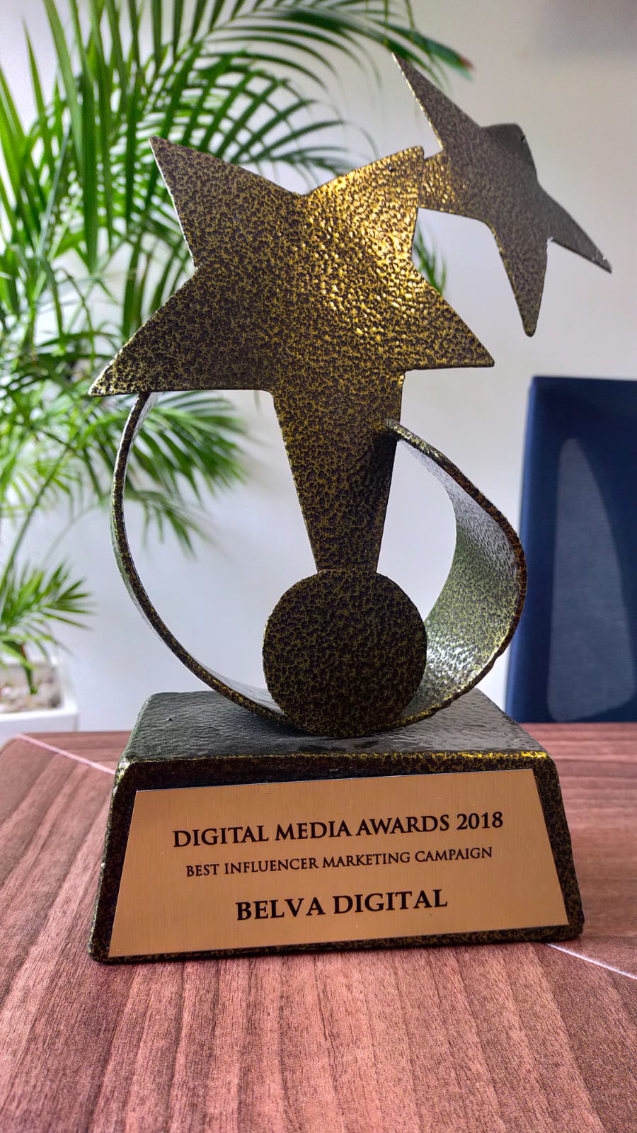 Best Influencer Marketing Campaign